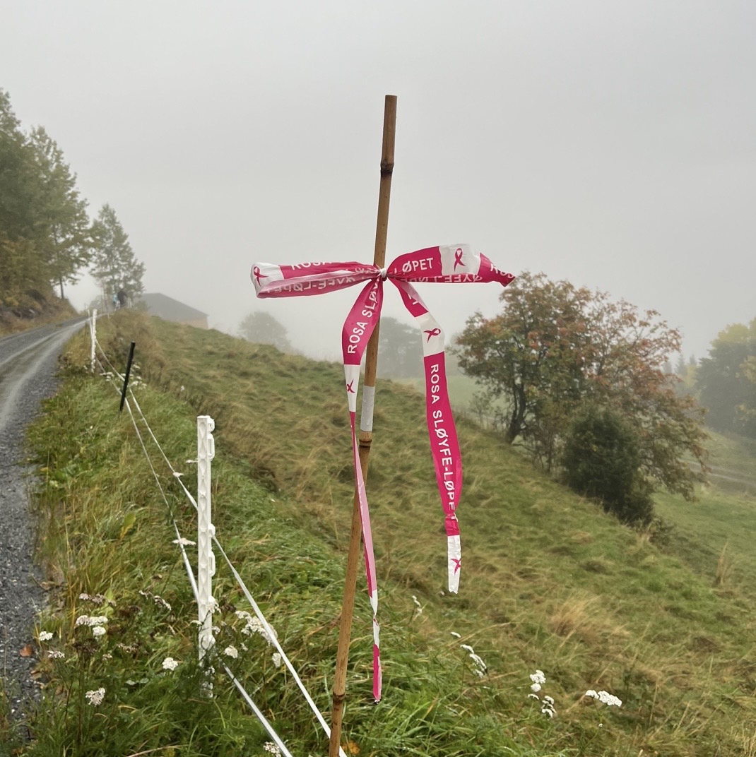 Rosa Sløyfe-løp på Nordsida🎀