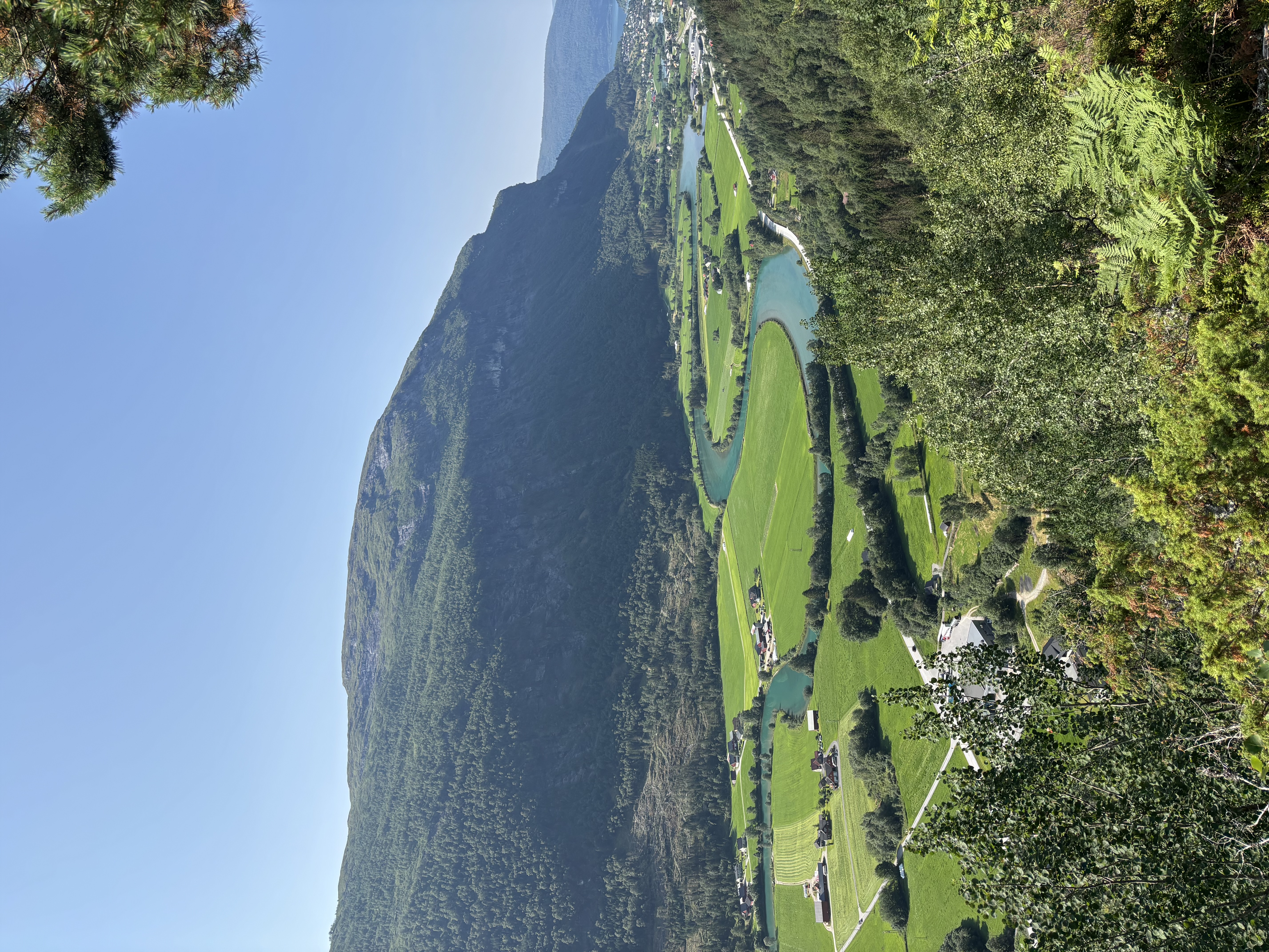 Skuten
